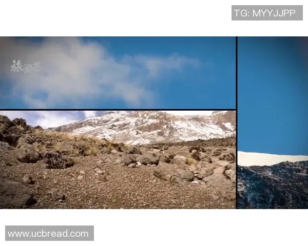 吴伟独家分享攀岩技巧与心得体会助你征服高峰