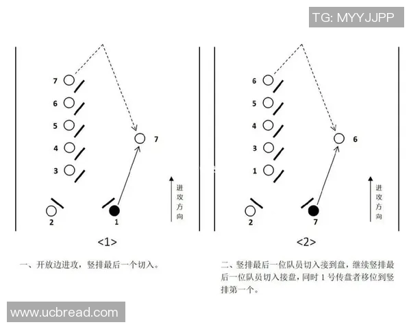 成都飞盘队节奏对比深度解析与战术演变探讨