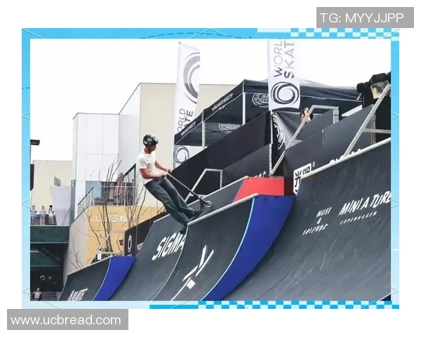 武汉极限运动队的意识探讨与极限运动文化的融合与发展