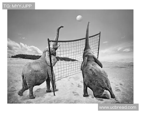 从零起步掌握滑板心理素质的全面提升与实战技巧解析