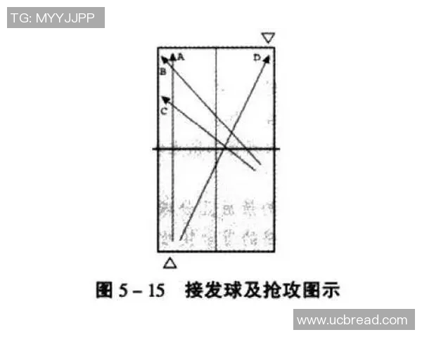 广州乒乓球队快攻战术解析与发展趋势探讨