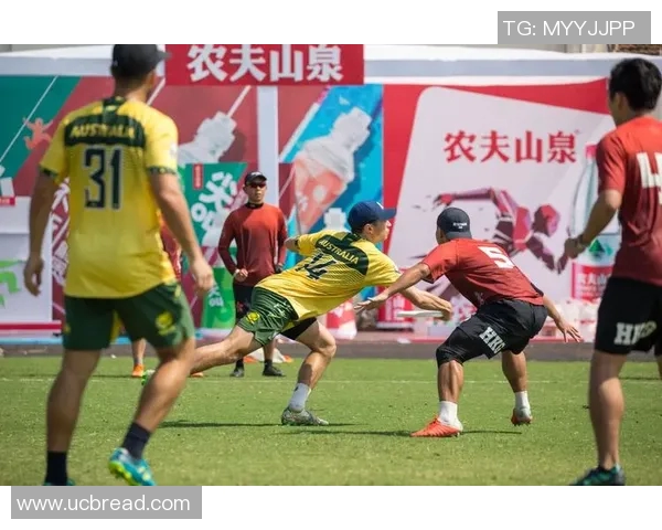 成都飞盘队状态变革引发热议助力飞盘运动蓬勃发展