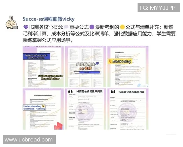 独家解读IG配合策略与效果的深度对比分析