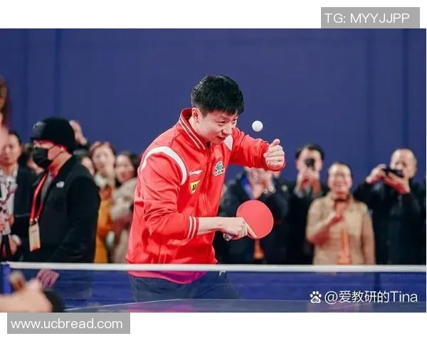 南京乒乓球队节奏创新高引领全国乒乓球发展新趋势