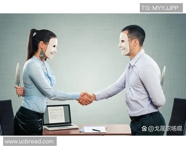 残酷竞争中的生存法则与企业突围之道探究