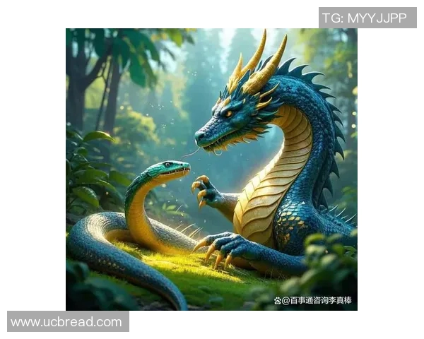 猛龙崛起：新赛季挑战与机遇并存，迈向更高荣耀的征程