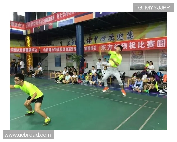 广州羽毛球队在精英赛中的技术表现分析与总结