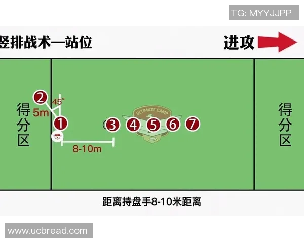 广州飞盘队力量表现的数据分析与战术探讨