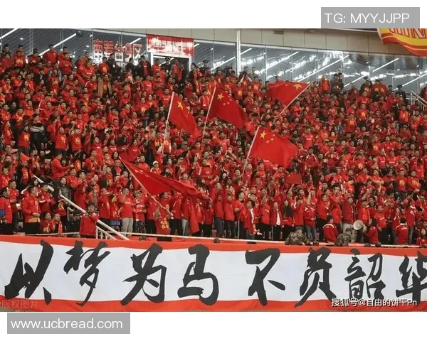 冯姓足球明星在中国足坛的崛起与成就探讨